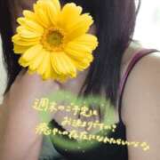 みずな おはよう 熟女の風俗最終章 蒲田店