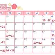 ヒメ日記 2025/01/17 10:30 投稿 りおな 木更津人妻花壇