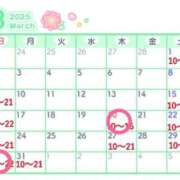 ヒメ日記 2025/03/18 09:30 投稿 りおな 木更津人妻花壇