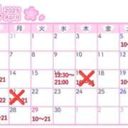 ヒメ日記 2025/04/12 11:00 投稿 りおな 木更津人妻花壇