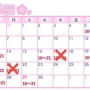 ヒメ日記 2025/04/17 09:30 投稿 りおな 木更津人妻花壇