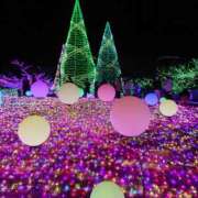 ヒメ日記 2025/12/25 09:05 投稿 りおな 木更津人妻花壇