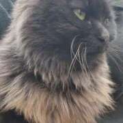 ヒメ日記 2025/03/28 16:43 投稿 アキさん ラバーズリアリティクラブ ブリリアントガールズ