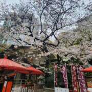 ヒメ日記 2025/04/01 18:02 投稿 アキさん ラバーズリアリティクラブ ブリリアントガールズ