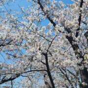 ヒメ日記 2025/04/06 12:10 投稿 アキさん ラバーズリアリティクラブ ブリリアントガールズ