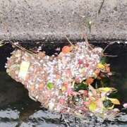 ヒメ日記 2025/04/20 12:16 投稿 アキさん ラバーズリアリティクラブ ブリリアントガールズ