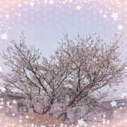 ヒメ日記 2025/04/05 13:01 投稿 アスカちゃん ラバーズリアリティクラブ ブリリアントガールズ