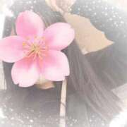 ヒメ日記 2025/04/08 16:40 投稿 アスカちゃん ラバーズリアリティクラブ ブリリアントガールズ