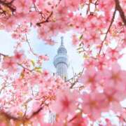 ヒメ日記 2025/03/02 23:11 投稿 オトハちゃん ラバーズリアリティクラブ ブリリアントガールズ