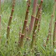 ヒメ日記 2025/05/16 22:24 投稿 ユナちゃん ラバーズリアリティクラブ ブリリアントガールズ