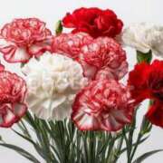 ヒメ日記 2025/05/17 21:27 投稿 ユナちゃん ラバーズリアリティクラブ ブリリアントガールズ