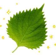 ヒメ日記 2025/06/05 16:51 投稿 ユナちゃん ラバーズリアリティクラブ ブリリアントガールズ