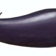 ヒメ日記 2025/08/17 14:22 投稿 ユナちゃん ラバーズリアリティクラブ ブリリアントガールズ