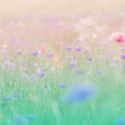 ヒメ日記 2026/05/05 00:54 投稿 ユナちゃん ラバーズリアリティクラブ ブリリアントガールズ