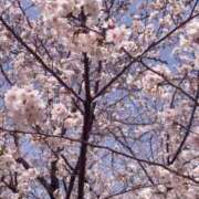 ヒメ日記 2025/04/05 12:33 投稿 ももか スピード梅田店