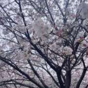 ももか ももか（スピード梅田店） スピード梅田店