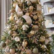 ヒメ日記 2024/12/24 23:40 投稿 岸本 昼顔妻 五反田店