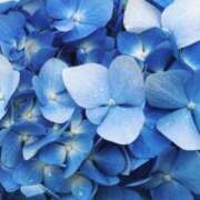 ヒメ日記 2025/06/28 01:35 投稿 岸本 昼顔妻 五反田店