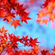 岸本 ヒートテック始めました 昼顔妻 五反田店