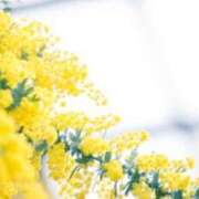 ヒメ日記 2026/03/08 23:16 投稿 岸本 昼顔妻 五反田店