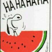 ヒメ日記 2025/07/24 08:24 投稿 りか 熟女ばかり