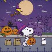 ヒメ日記 2025/10/31 21:31 投稿 りか 熟女ばかり