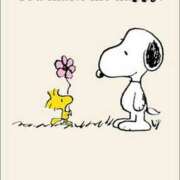 ヒメ日記 2025/12/18 08:21 投稿 りか 熟女ばかり