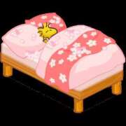 ヒメ日記 2026/03/03 07:33 投稿 りか 熟女ばかり