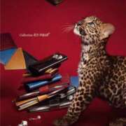 ヒメ日記 2026/03/05 23:51 投稿 りか 熟女ばかり