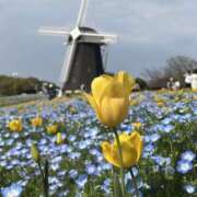 ヒメ日記 2025/04/19 20:15 投稿 さら 熟女ばかり