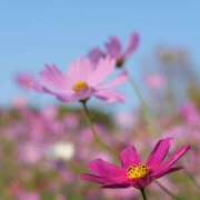 ヒメ日記 2025/11/07 18:17 投稿 さら 熟女ばかり