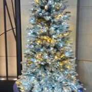 ヒメ日記 2025/12/03 19:38 投稿 さら 熟女ばかり