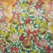 ヒメ日記 2025/12/25 12:44 投稿 さら 熟女ばかり