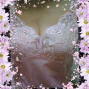 ヒメ日記 2025/10/19 08:38 投稿 なみ 熟女ばかり