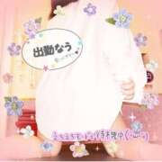 ヒメ日記 2024/12/17 19:10 投稿 えりの ふぞろいの人妻たち