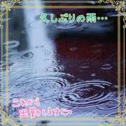 ヒメ日記 2024/12/21 16:40 投稿 えりの ふぞろいの人妻たち