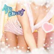 ヒメ日記 2025/02/01 14:00 投稿 えりの ふぞろいの人妻たち