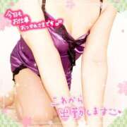 ヒメ日記 2025/03/28 16:50 投稿 えりの ふぞろいの人妻たち