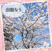 ヒメ日記 2025/03/30 19:10 投稿 えりの ふぞろいの人妻たち