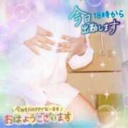 ヒメ日記 2025/05/03 15:01 投稿 えりの ふぞろいの人妻たち