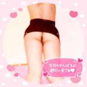 ヒメ日記 2025/05/05 12:10 投稿 えりの ふぞろいの人妻たち