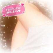 ヒメ日記 2025/05/12 14:20 投稿 えりの ふぞろいの人妻たち