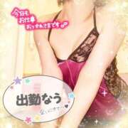 ヒメ日記 2025/05/22 18:00 投稿 えりの ふぞろいの人妻たち