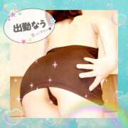 ヒメ日記 2025/05/28 17:50 投稿 えりの ふぞろいの人妻たち