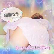 ヒメ日記 2025/07/30 18:00 投稿 えりの ふぞろいの人妻たち