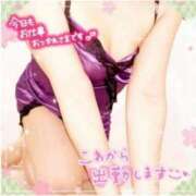 ヒメ日記 2025/08/07 16:30 投稿 えりの ふぞろいの人妻たち