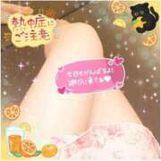 ヒメ日記 2025/08/14 16:50 投稿 えりの ふぞろいの人妻たち