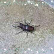 ヒメ日記 2025/08/24 16:30 投稿 えりの ふぞろいの人妻たち