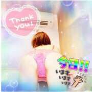 ヒメ日記 2025/09/26 16:38 投稿 えりの ふぞろいの人妻たち