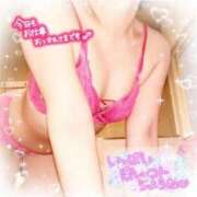 ヒメ日記 2025/10/17 16:40 投稿 えりの ふぞろいの人妻たち